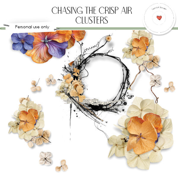 (image for) Chasing the crisp air clusters
